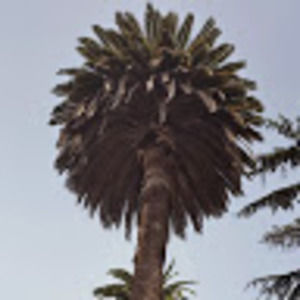 Meet your Posher, Keith